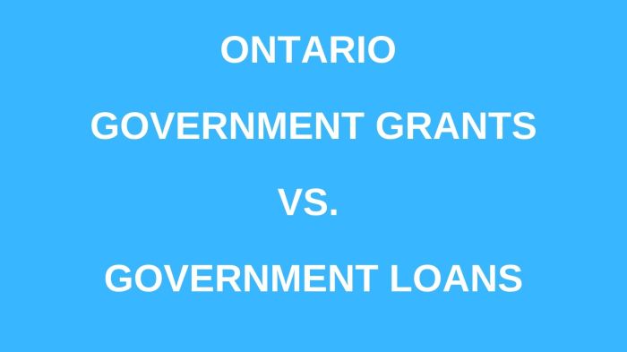 Grants loans
